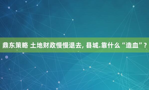鼎东策略 土地财政慢慢退去, 县城.靠什么“造血”?